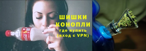 мдпв Никольск