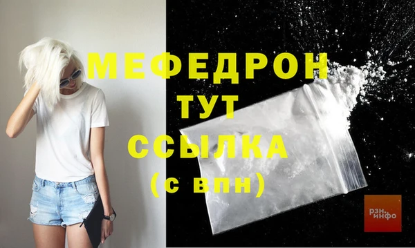 мдпв Никольск