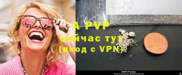 мдпв Никольск