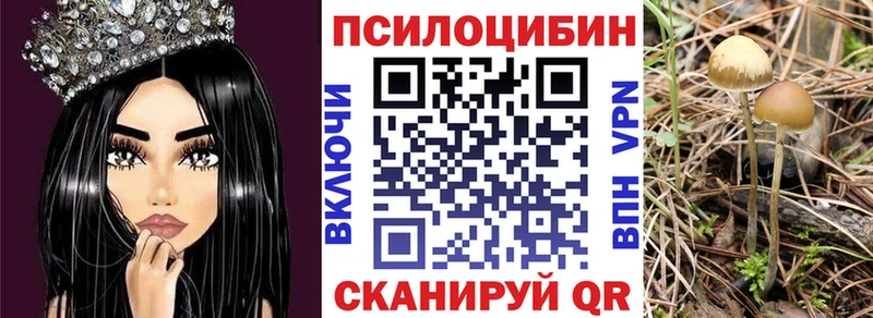 Псилоцибиновые грибы мицелий магазин Новодвинск