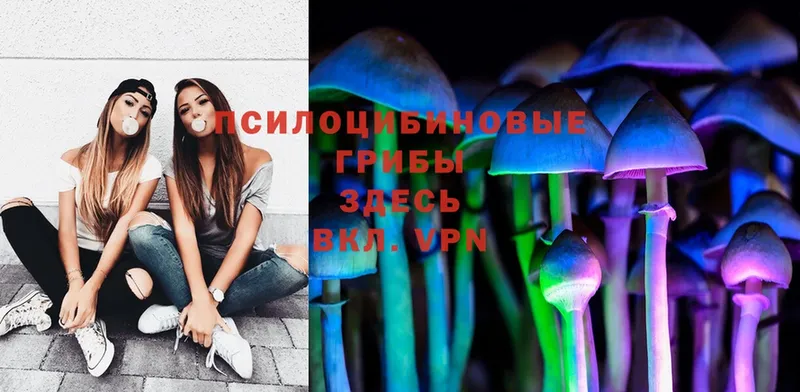 Галлюциногенные грибы Magic Shrooms  где купить   Новодвинск 