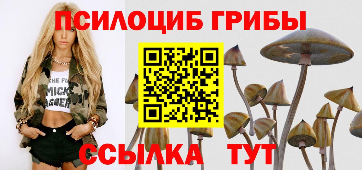 Псилоцибиновые грибы прущие грибы  Псилоцибиновые грибы MAGIC MUSHROOMS  Вход с VPN  Новодвинск 
