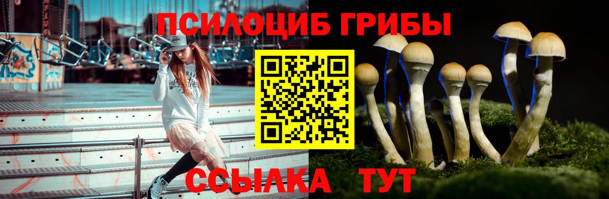 Псилоцибиновые грибы Cubensis  Новодвинск  Псилоцибиновые грибы Cubensis 