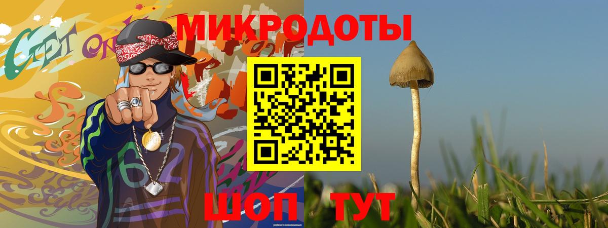 Псилоцибиновые грибы прущие грибы Новодвинск