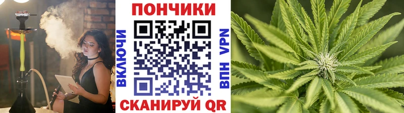 Бошки марихуана Amnesia  купить наркоту  Новодвинск 